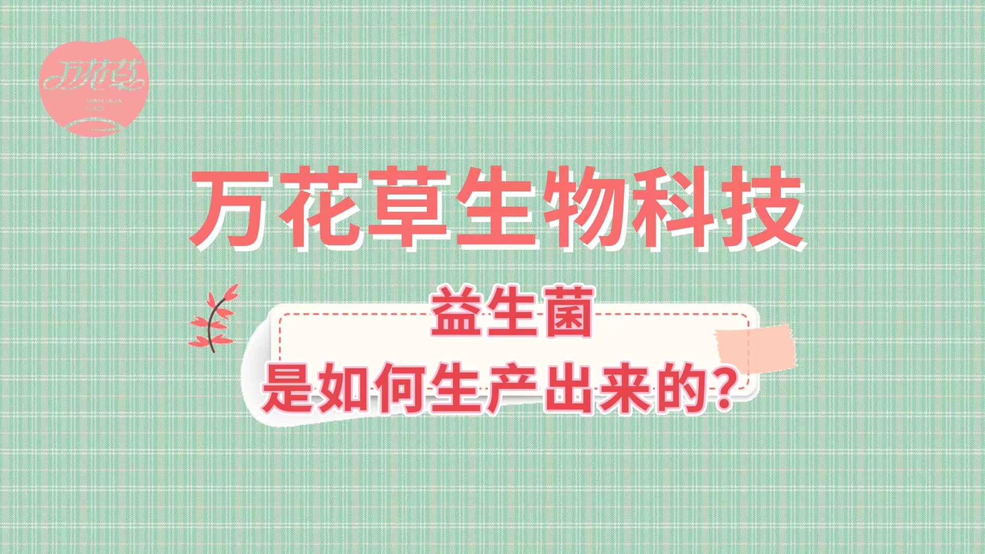 帶您了解益生菌是如何生產(chǎn)出來(lái)的,好的廠家哪里找？
