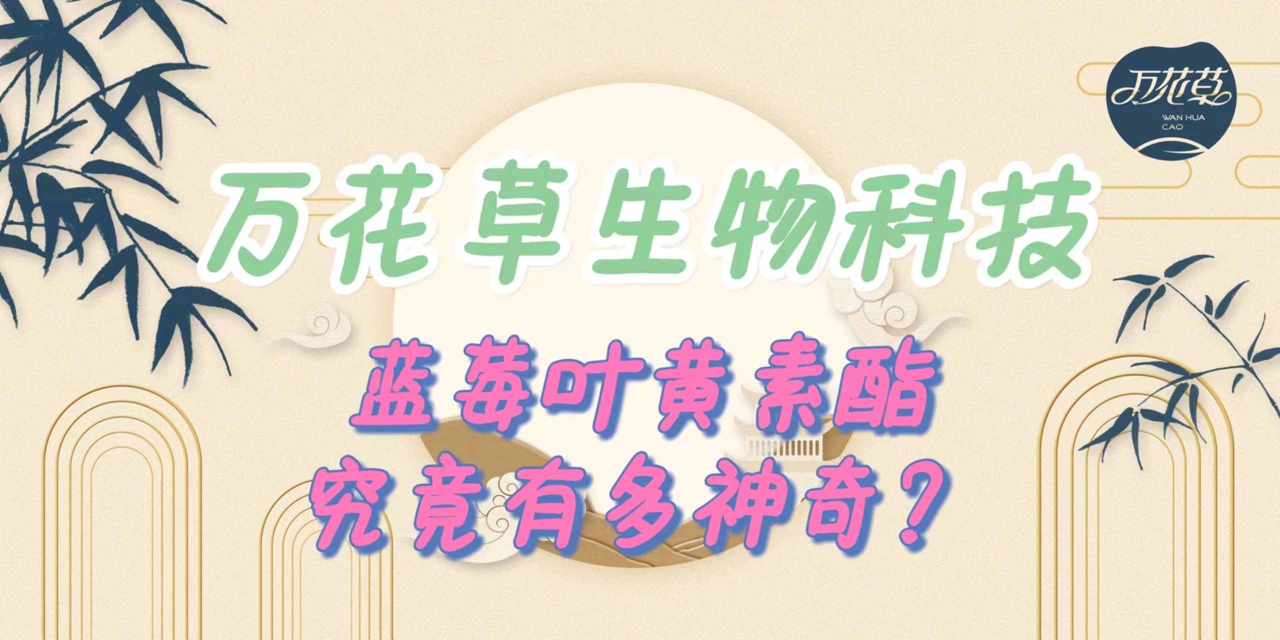 升級(jí)配方，重磅出擊，萬花草藍(lán)莓葉黃素酯究竟有多神奇？