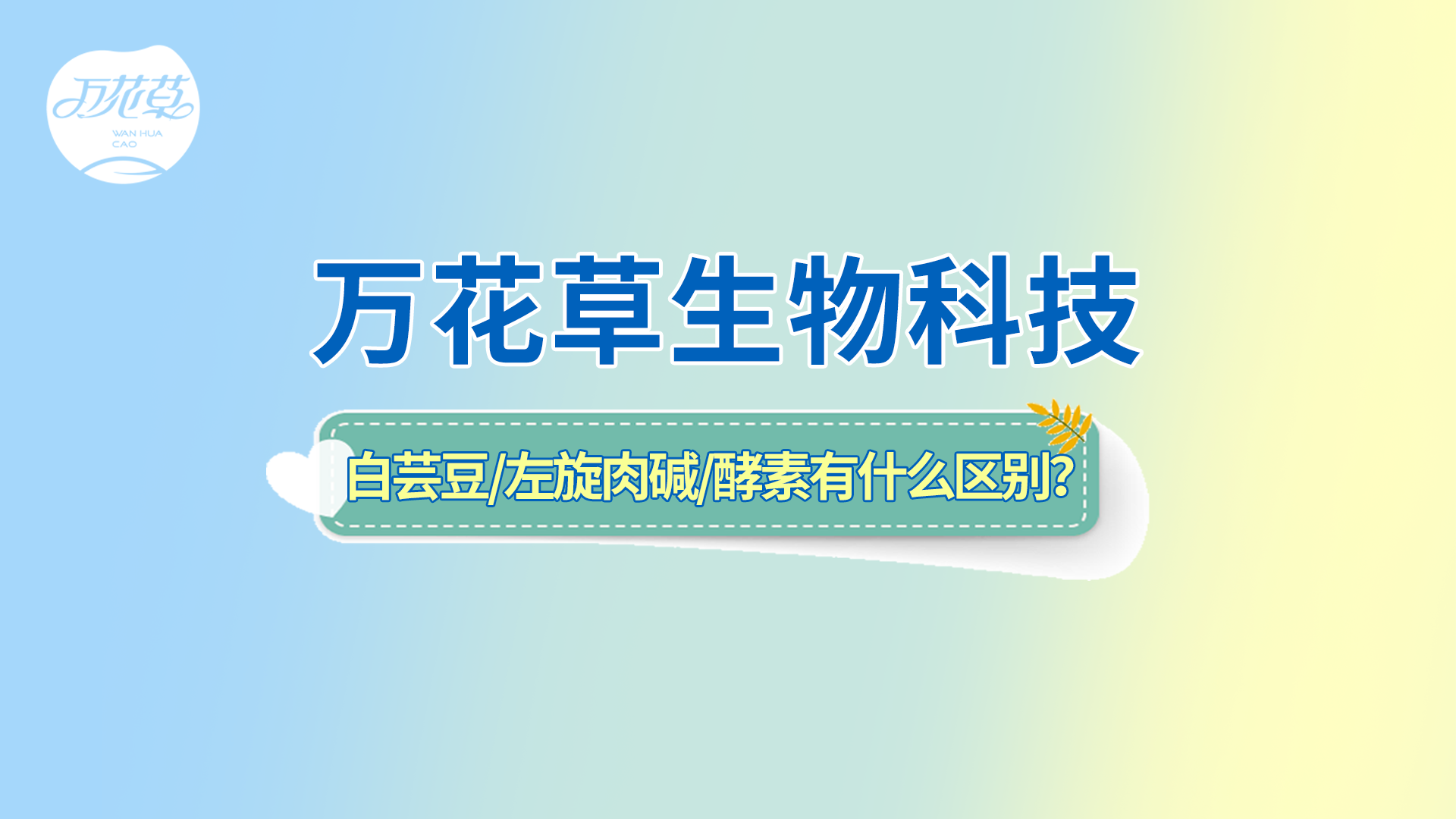 白蕓豆、左旋肉堿、嗨吃酵素有什么區(qū)別？